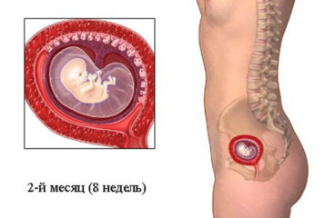 Симптомы второго месяца беременности